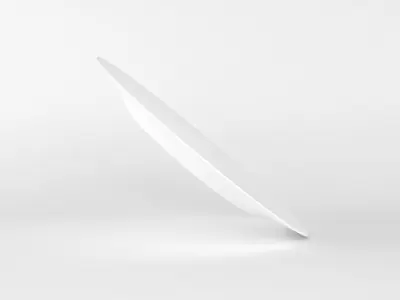 Restaurant Plate  3D model