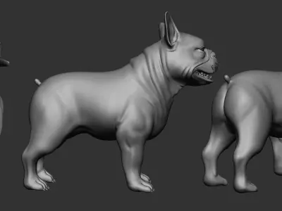 French Bulldog 3D model