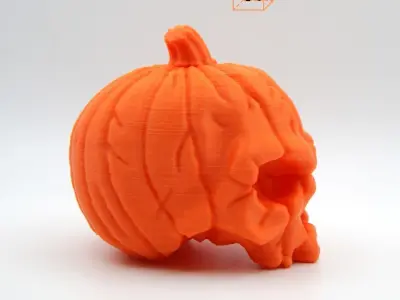 Pumpkin Skull 3D print model