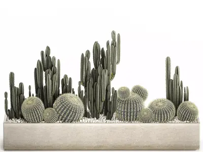 Cactus set in a concrete flowerpot for the interior 1097 3D model