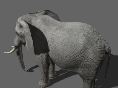 PRO Elephant 1 - 3d model 3D model