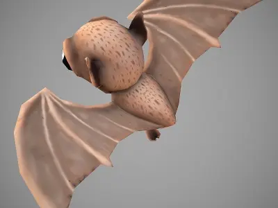 Bat Cartoon Low-poly 3D model