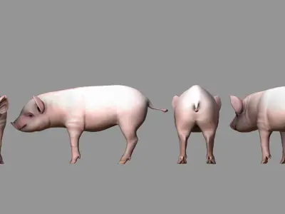 cute pig 3d model 3D model