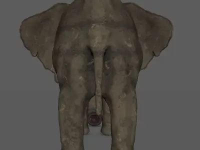 elephant high resolution 3D model
