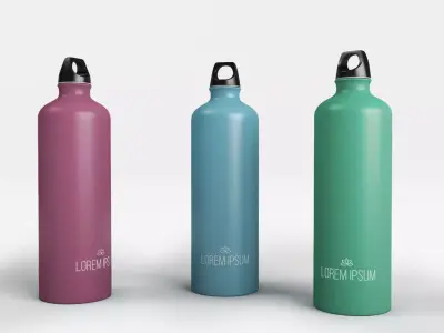 Metal Bottle 3D model