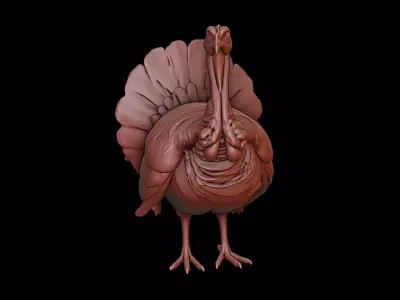 Turkey Animal Sculpture 3D print model purchase