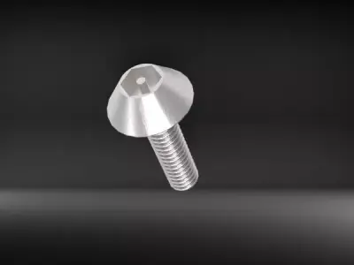 Pin Head Screw Model 3D print model