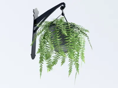 Fern in Hanging Pot Low-poly 3D model