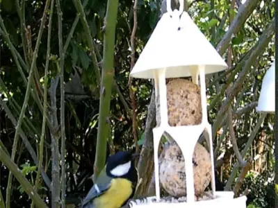 Bird feeder seedballs and seed 3D print model