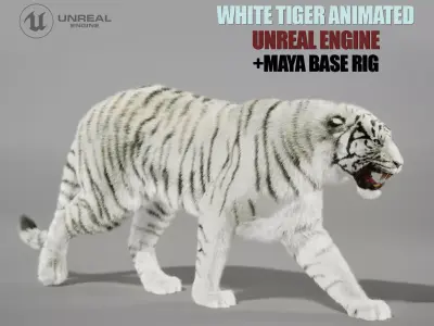 White Tiger Animated UNREAL project  Maya base rig 3D model