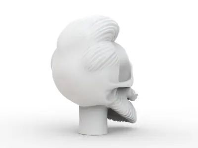 Stylized Skull with Hair and Beard 3D print model