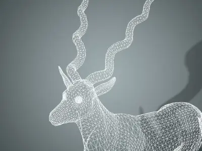 Antelope 3D with animation 3D model