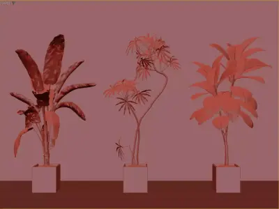 Modern Potted Green Plant Collection 3D Model 3D model