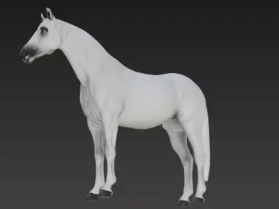 White Horse 3d model 3D model