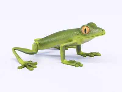 Green Frog 3D model