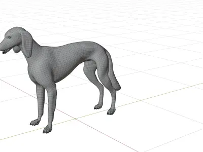Saluki Persian Hound Dog Low-poly 3D model