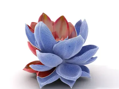 Crimson Succulent model pack Low-poly 3D model