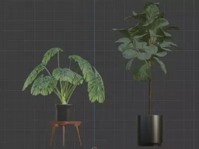 FLOWER two plants in pot on table Free low-poly 3D model