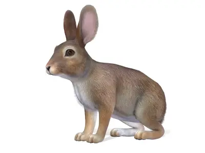 Rabbit Family Low-poly 3D model