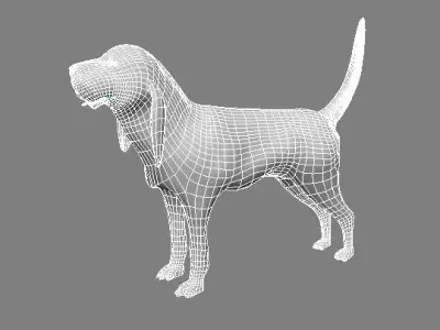 BLOODHOUND hound dog Low-poly 3D model