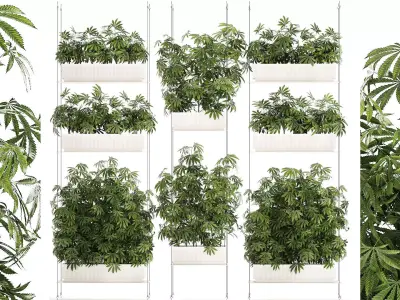 Garden plantation Bushes Hemp Marijuana Cannabis 1428 3D model