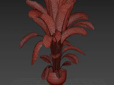indoor plant 012 3D model