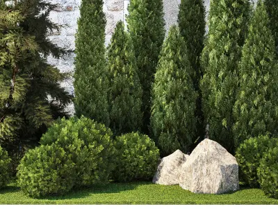 Garden with thuja cypress pine and topiary plant 1381 3D model