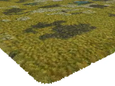 Rug Set 1847 3D model