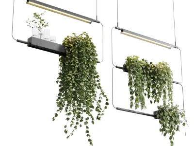 Rectangle pot light pendant - plant light hanging 20 3D model