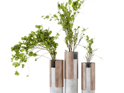 Indoor Plants in Combination of wood  concrete vase  3D model