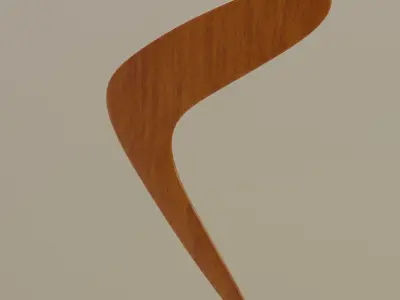 Boomerang 3D model