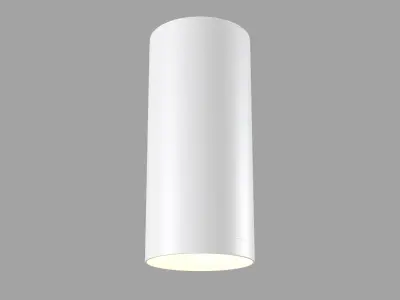 Pendant Lamp Alfa C010CL-01W Maytoni Technical Free 3D model