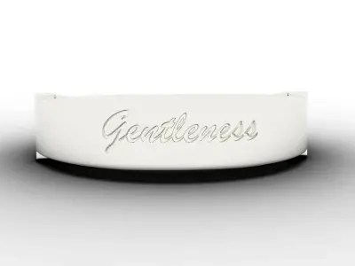 Gentleness Ring Female Silver 3D print model