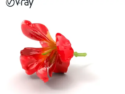 Freesia Red Petal Realism Model Pack Low-poly 3D model