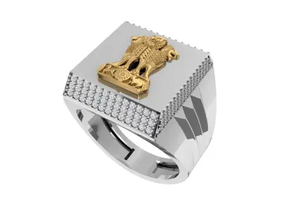 Indian Ashoka Ring 3D print model