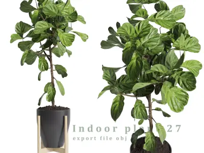 Indoor plant 27 Low-poly 3D model