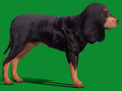 Black And Tan Coonhound Dog Low-poly 3D model