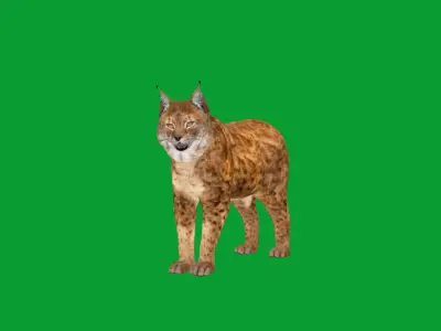 Northern Eurasian Lynx Low-poly 3D model