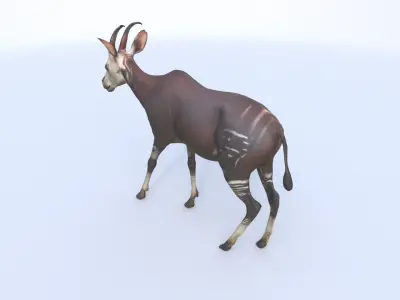 Okapi 3D model