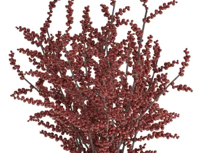 Bouquet of branches with red berries in a vase 99 3D model