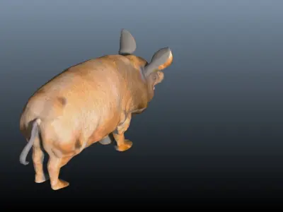 The hog pig 3D model