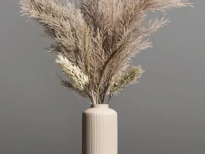 PAMPASS SET 02 3D model