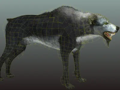 Gray Wolf Low-poly 3D model