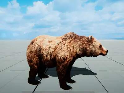 Realistic Animals PACK Low-poly 3D model