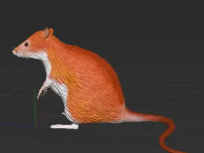 Animal Rat 3D model