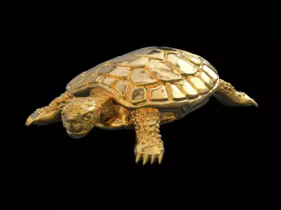 TURTLE TORTOISE 3D print model