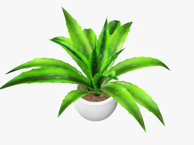 Potted plant decorative 04 3D model