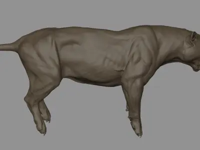 Tiger  VFX Cinematic quality 3D model 3D model