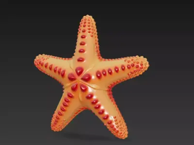 Starfish Realistic 3D Model Basic - Low Poly Realistic Low-poly 3D model