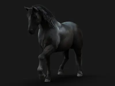 Horse Black RIG  XGEN 3D model